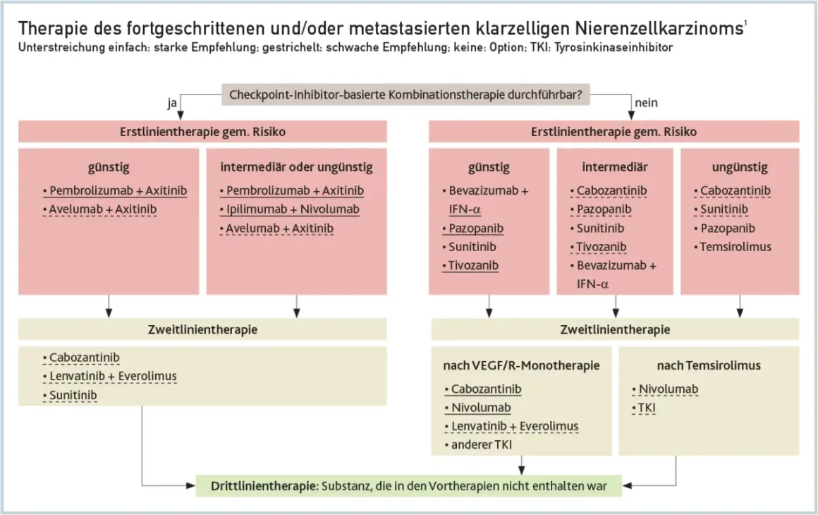Flussdiagramm zur Therapie des Nierenzellkarzinoms, das Behandlungsoptionen basierend auf dem Risiko und der Vortherapie gemäß der nierenzellkarzinom leitlinie darstellt.