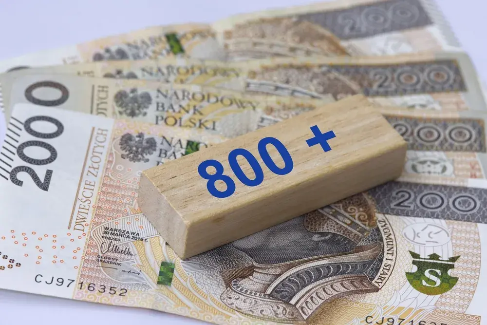 800 plus dla seniora: Czy to pewne? Status i szanse petycji