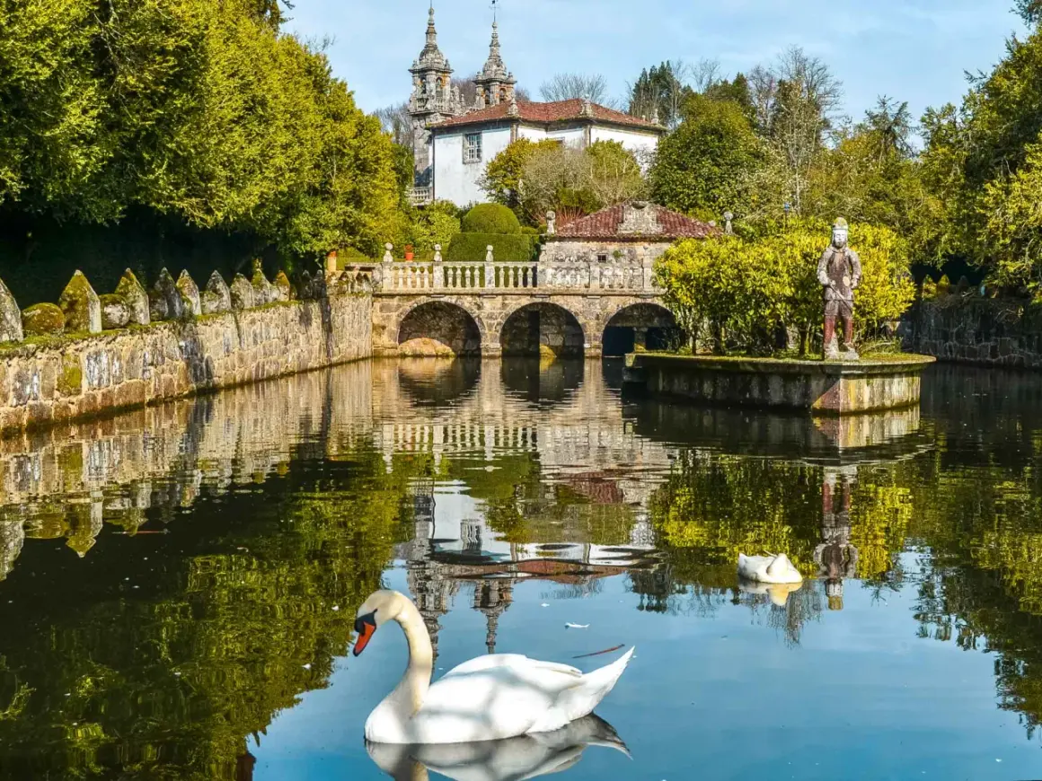 Un cisne blanco nada en un estanque frente a un puente de piedra y un palacio, un lugar encantador que ver cerca de Santiago de Compostela.