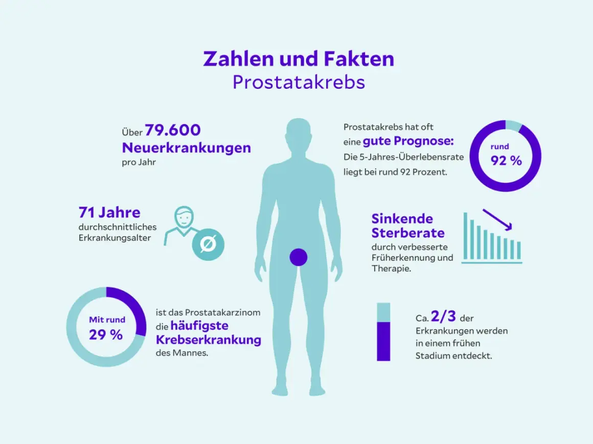 Zahlen & Fakten zu Prostatakrebs: Über 79.600 Neuerkrankungen/Jahr, 71 Jahre Durchschnittsalter. Gute Prognose: 92% Überleben. Prostatakrebs ist heilbar, wenn früh erkannt.