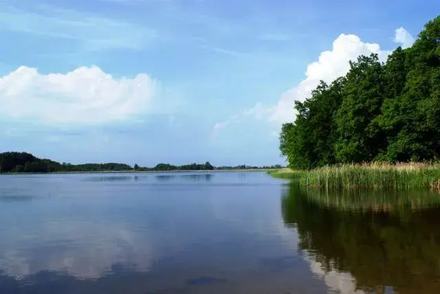 Jezioro Brajnickie: Idealne miejsce na wędkowanie i relaks w naturze