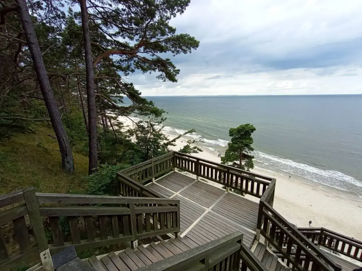 Drewniane schody prowadzą na plażę nad Bałtykiem. Widok z **Kawczej Góry w Międzyzdrojach** na morze i las.