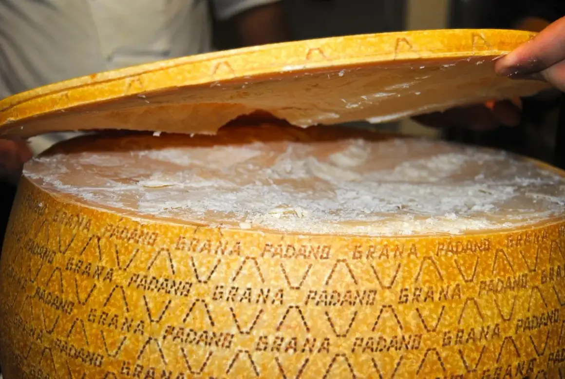 Un pezzo di Grana Padano viene sollevato, mostrando la sua crosta e la pasta interna. Le proprietà del Grana Padano sono evidenti nella sua consistenza.