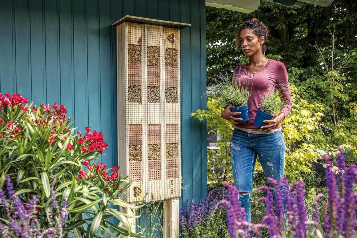 En kvinna håller lavendelplantor bredvid ett insektshotell. Runtomkring finns blommor som bin gillar, som röda oleandrar och lila salvia.