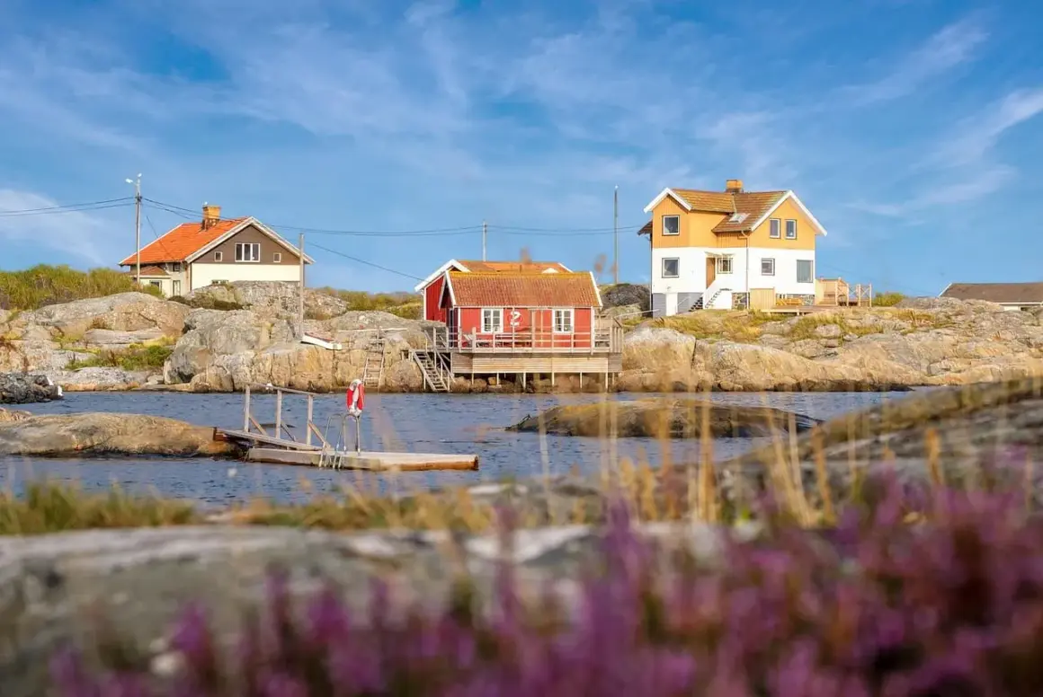 Solvik Kungshamn: Röda och gula hus på klippor vid vattnet, med en brygga och ljung i förgrunden.