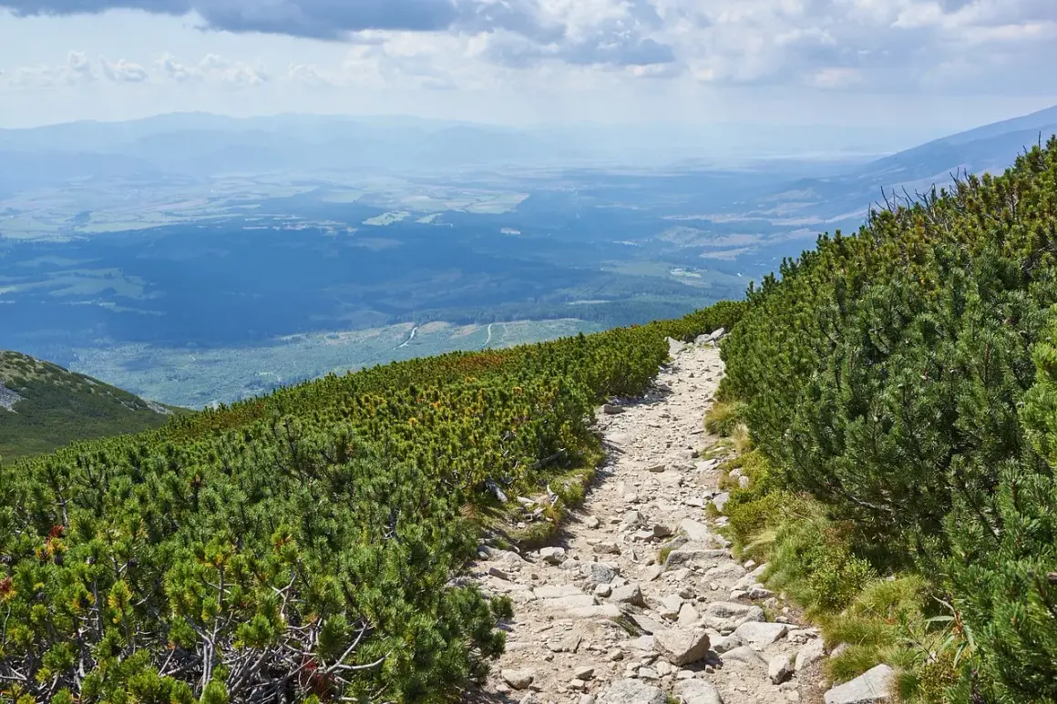 Czerwony szlak na Babią Górę: 5,3 km wyzwań. Gotowy na Diablak?