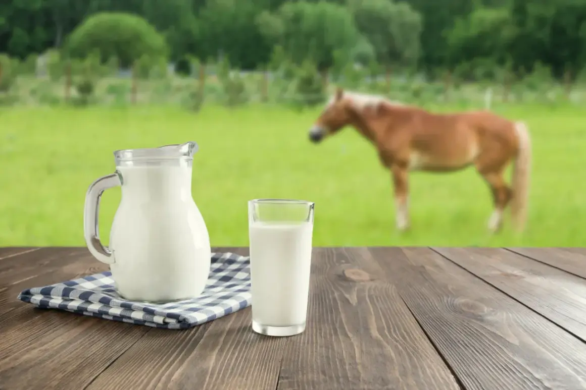 Dzbanek i szklanka świeżego mleka na drewnianym stole. W tle pasie się koń. To jak naturalny alkohol z mleka, prosto z natury.