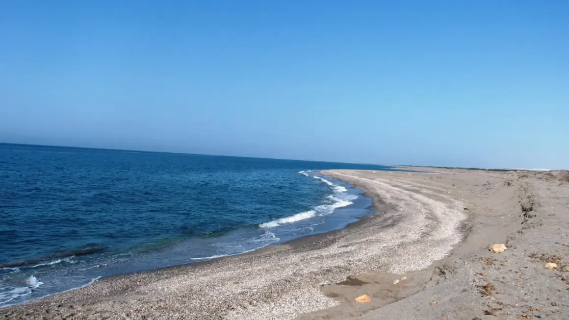 Mar azul y cielo despejado en **Punta Entinas**. La arena y las conchas forman una curva suave hacia el mar.
