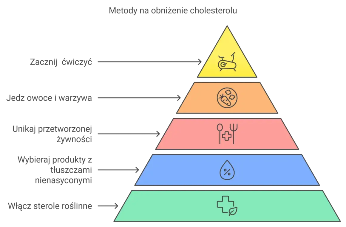 Piramide zdrowego żywienia z ikonami: ćwiczenia, owoce, przetworzona żywność, tłuszcze, sterole roślinne.