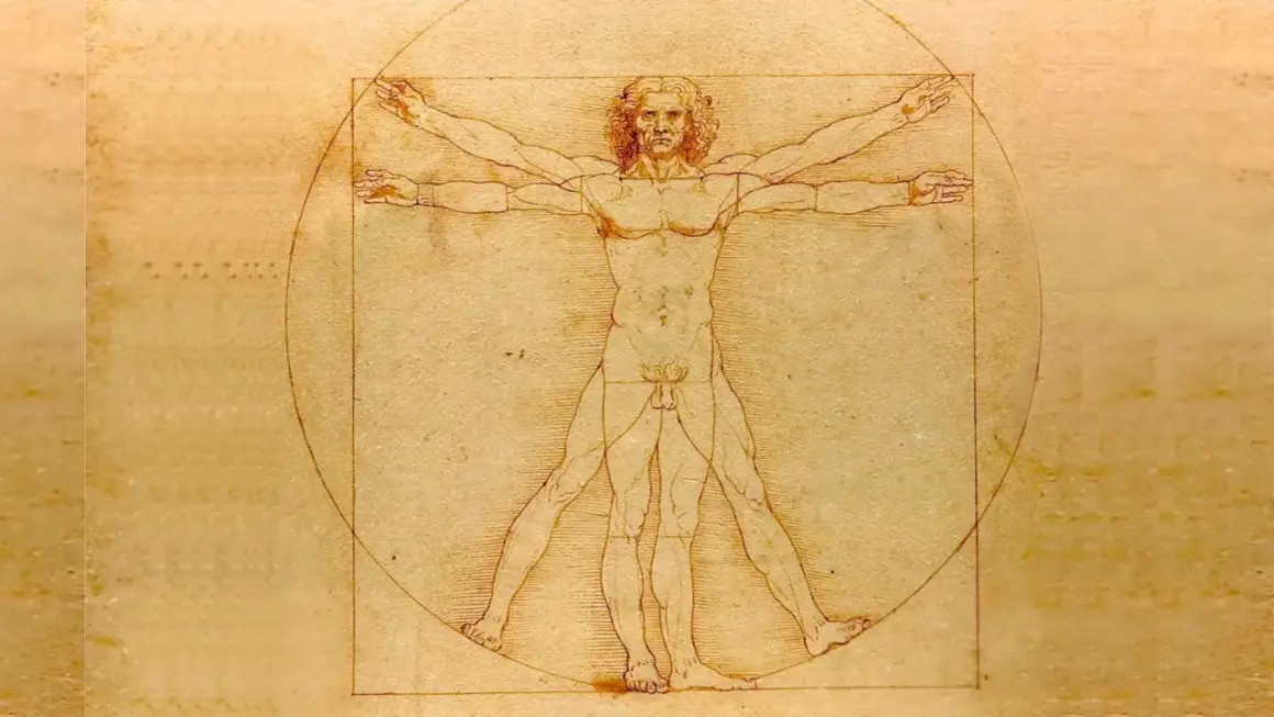 El hombre de Vitruvio, un estudio de proporciones humanas idealizadas, se muestra dentro de un círculo y un cuadrado.