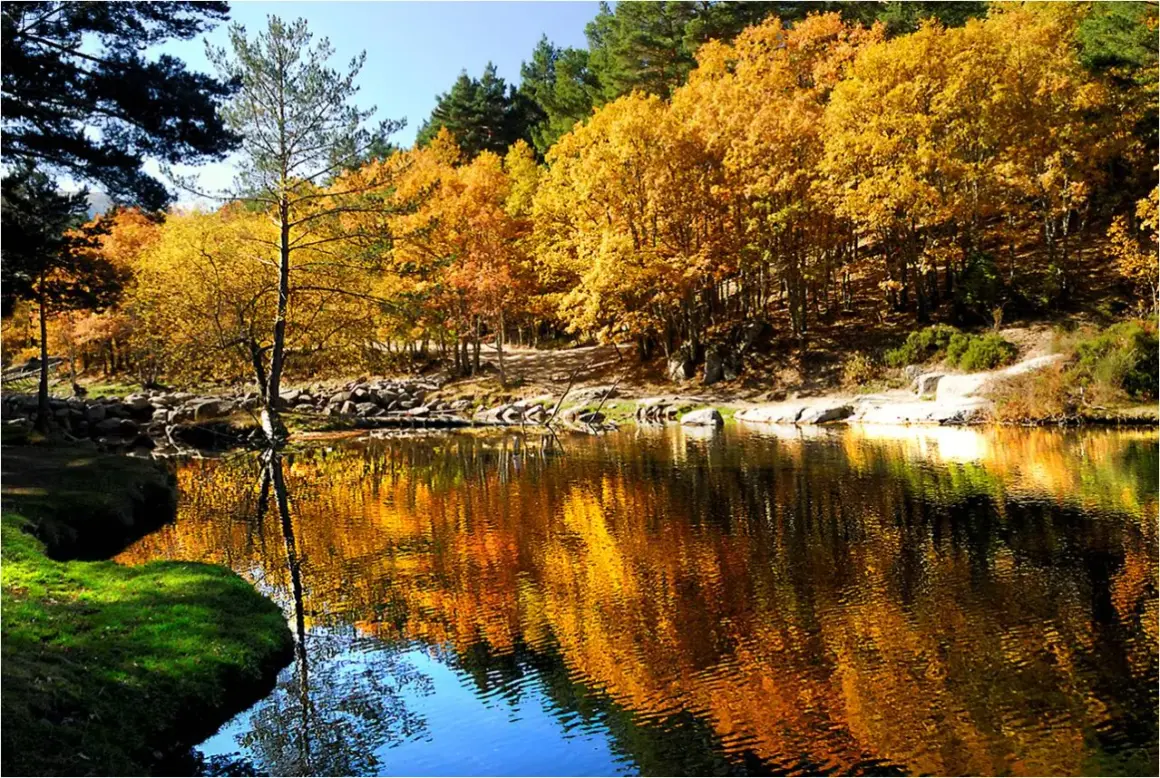 Reflejos dorados de otoño en un lago sereno en Rascafría, Madrid.