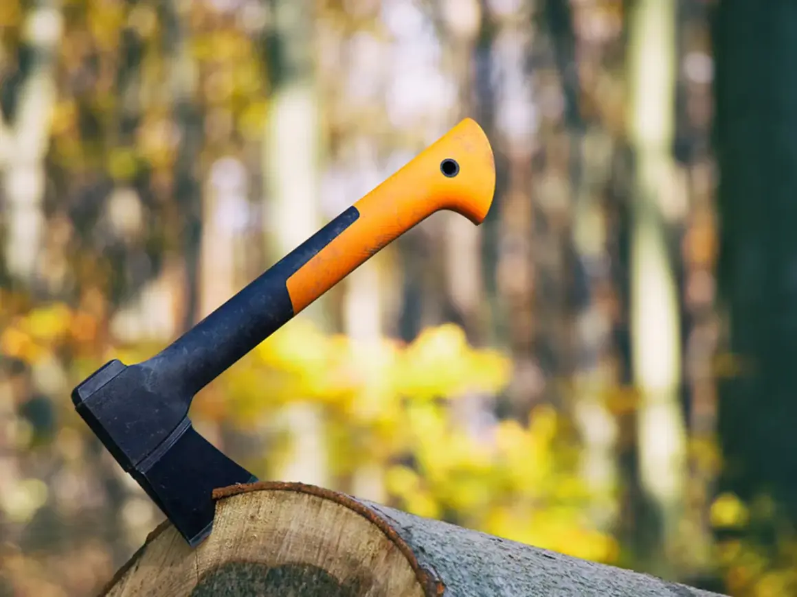 Un hacha con mango naranja y negro clavada en un tronco, lista para el trabajo en el bosque otoñal.