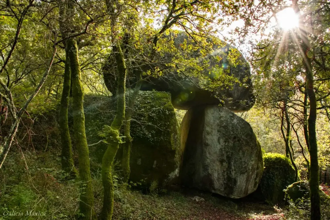 Bosque gallego con un dolmen, la pedra filga, bajo la luz del sol filtrándose entre las hojas.