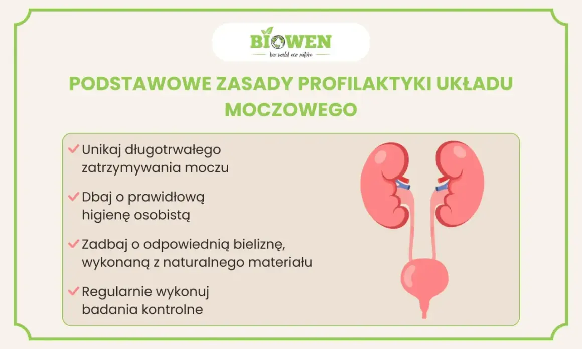 Jak dbać o układ wydalniczy: unikaj wstrzymywania moczu, dbaj o higienę, noś naturalną bieliznę i wykonuj badania.