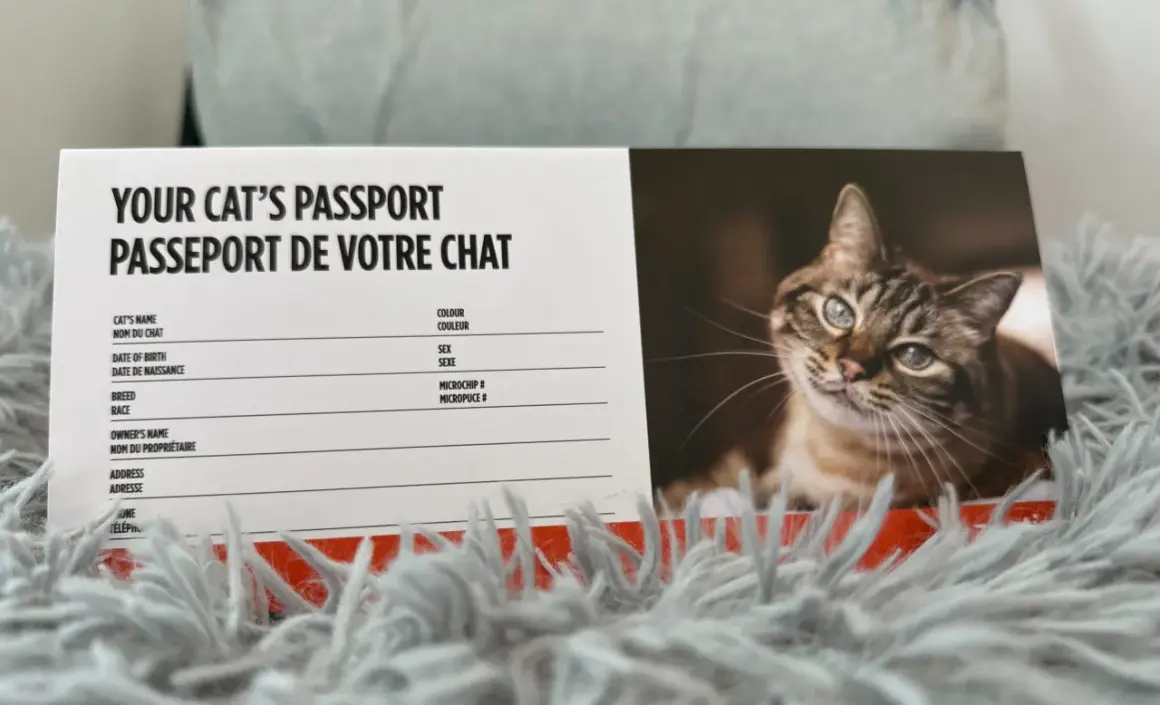 Passeport de chat avec un portrait de chat. Est-ce grave de ne pas vacciner son chat ? Ce document rappelle les informations essentielles pour la santé de votre félin.