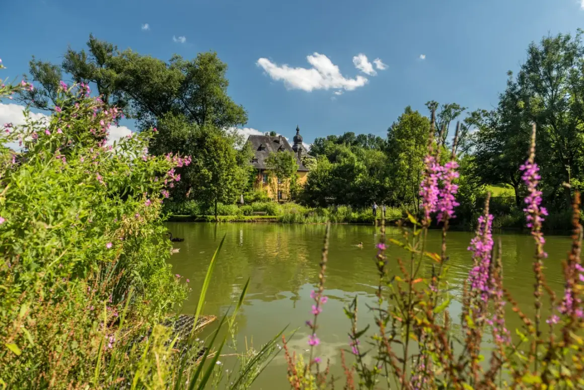 Idyllischer Teich mit Schloss und blühenden Pflanzen. Perfekt für eine Wanderung in Bergisch Gladbach.