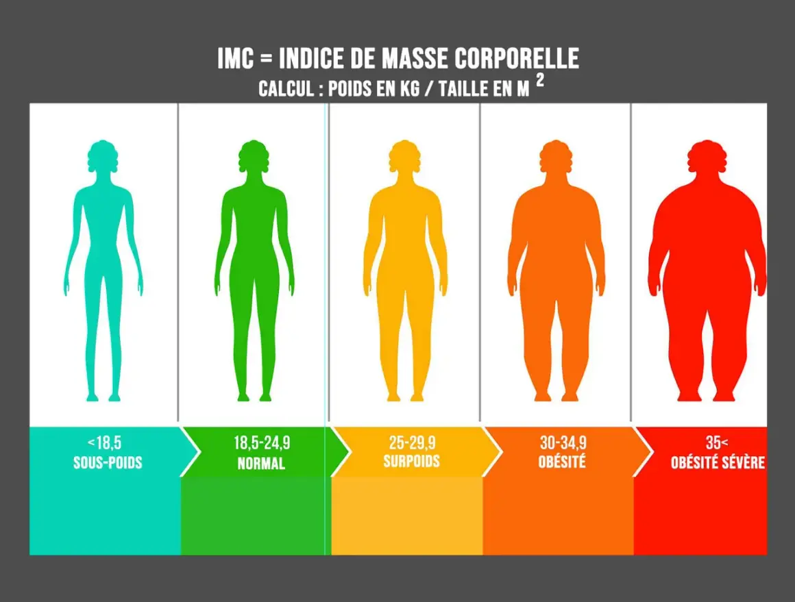 Cinq silhouettes féminines illustrent les catégories d'IMC : maigre, normal, surpoids (IMC 29), obésité, obésité sévère.