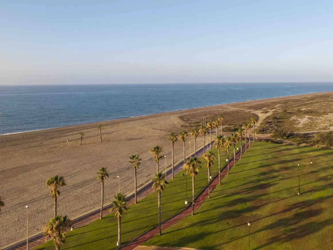Paseo marítimo con palmeras y césped verde en Almería, junto a una playa de arena y el mar azul.