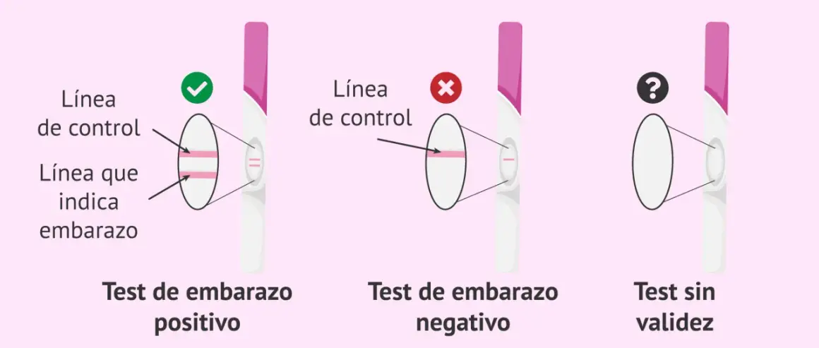Test de embarazo positivo: dos líneas. Negativo: una línea. Sin validez: ninguna línea. La diferencia entre regla y embarazo se ve en estas pruebas.