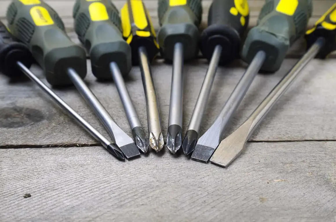 Ensemble de tournevis, incluant plusieurs types de tournevis à tête plate et cruciforme, prêts pour tout projet de bricolage.