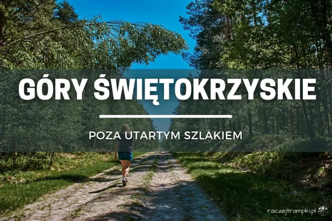 Kobieta idzie leśną ścieżką w Górach Świętokrzyskich. Odkryj nieznane szlaki!