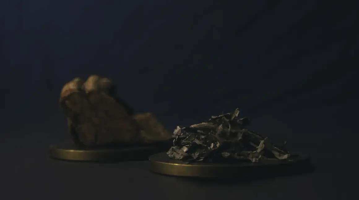 Kawałek kory i garść liści, być może składniki do rytuału z changa dmt.
