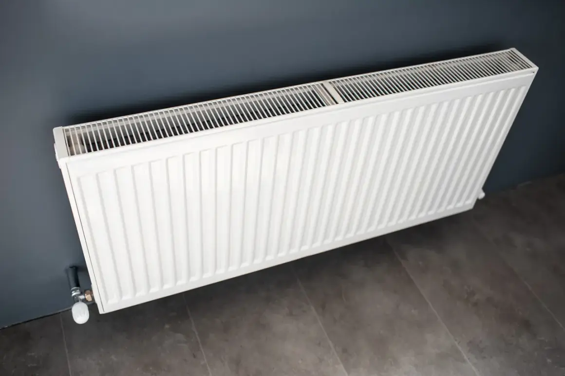Biały grzejnik stalowy czy aluminiowy? Wybór ogrzewania do domu.