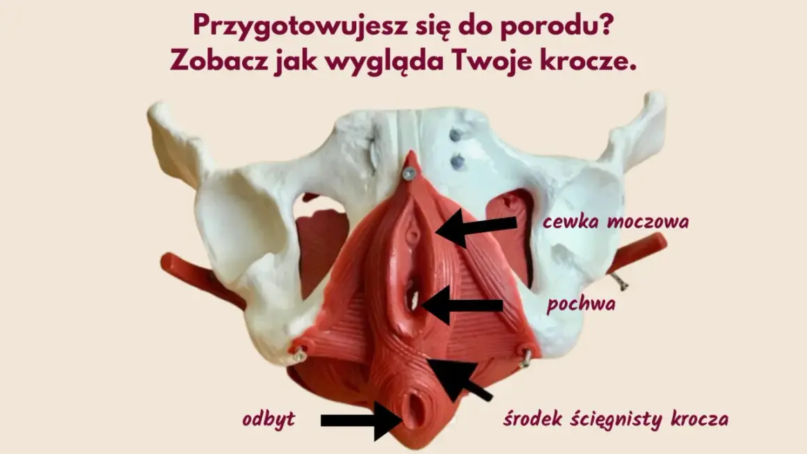 Masaż krocza przed porodem: Jak uniknąć nacięcia i pęknięć?