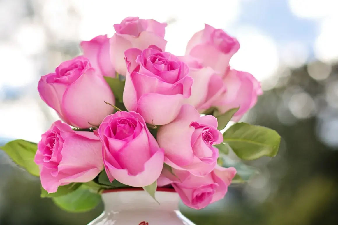 Un bouquet de roses roses tendres, symbolisant l'amour et la gratitude. Leurs pétales délicats évoquent la douceur d'un sentiment pur.
