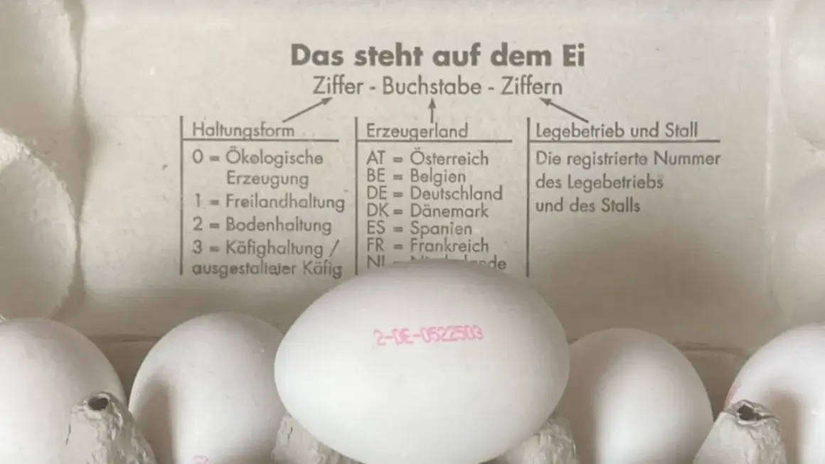 Eierstempel Bedeutung: Die Zahl 2 steht für Bodenhaltung, DE für Deutschland. Der Stempel erklärt die Herkunft und Haltungsform von Eiern.