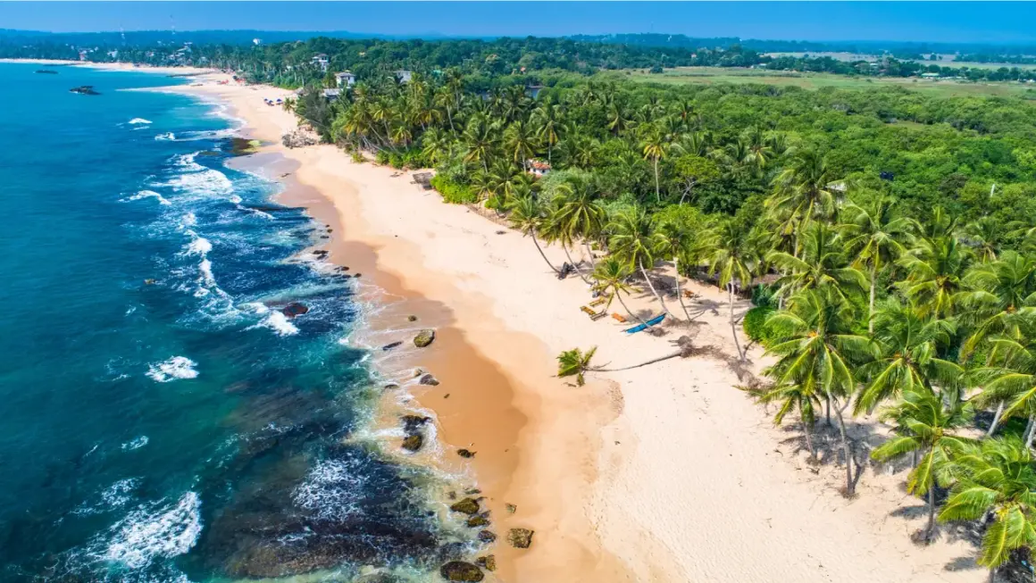 Rajska plaża na Sri Lance, z palmami i turkusową wodą. Zastanawiasz się, ile trwa lot?