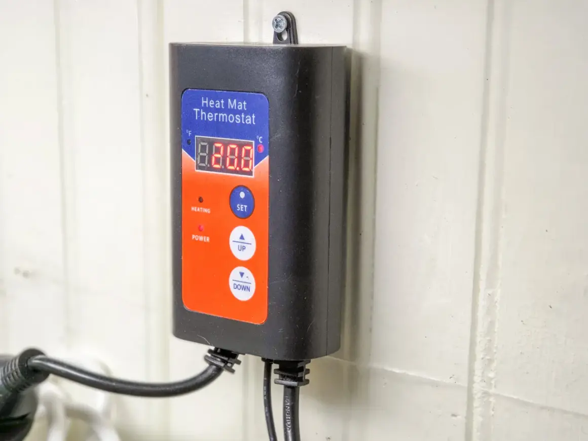 Svart väggmonterad värmemattatermostat med digital display och knappar. Perfekt för att reglera temperaturen i ditt terrarium eller reptilbur.