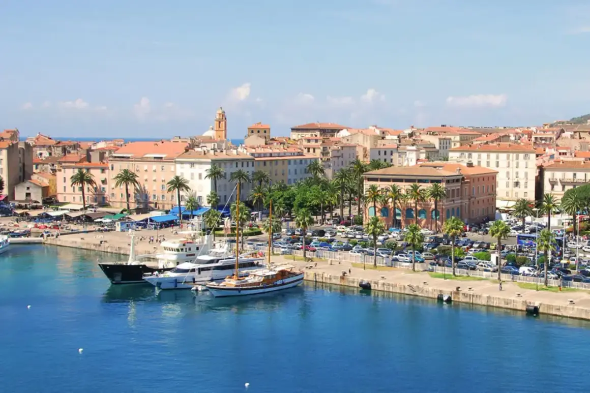 Port w Ajaccio, stolicy Korsyki, z jachtami i palmami.