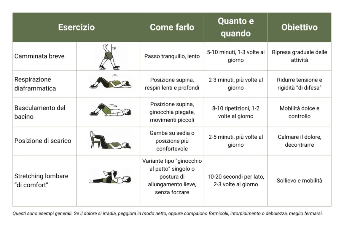 Tabella con esercizi per la fisioterapia schiena: camminata, respirazione, basculamento bacino, posizione di scarico e stretching.