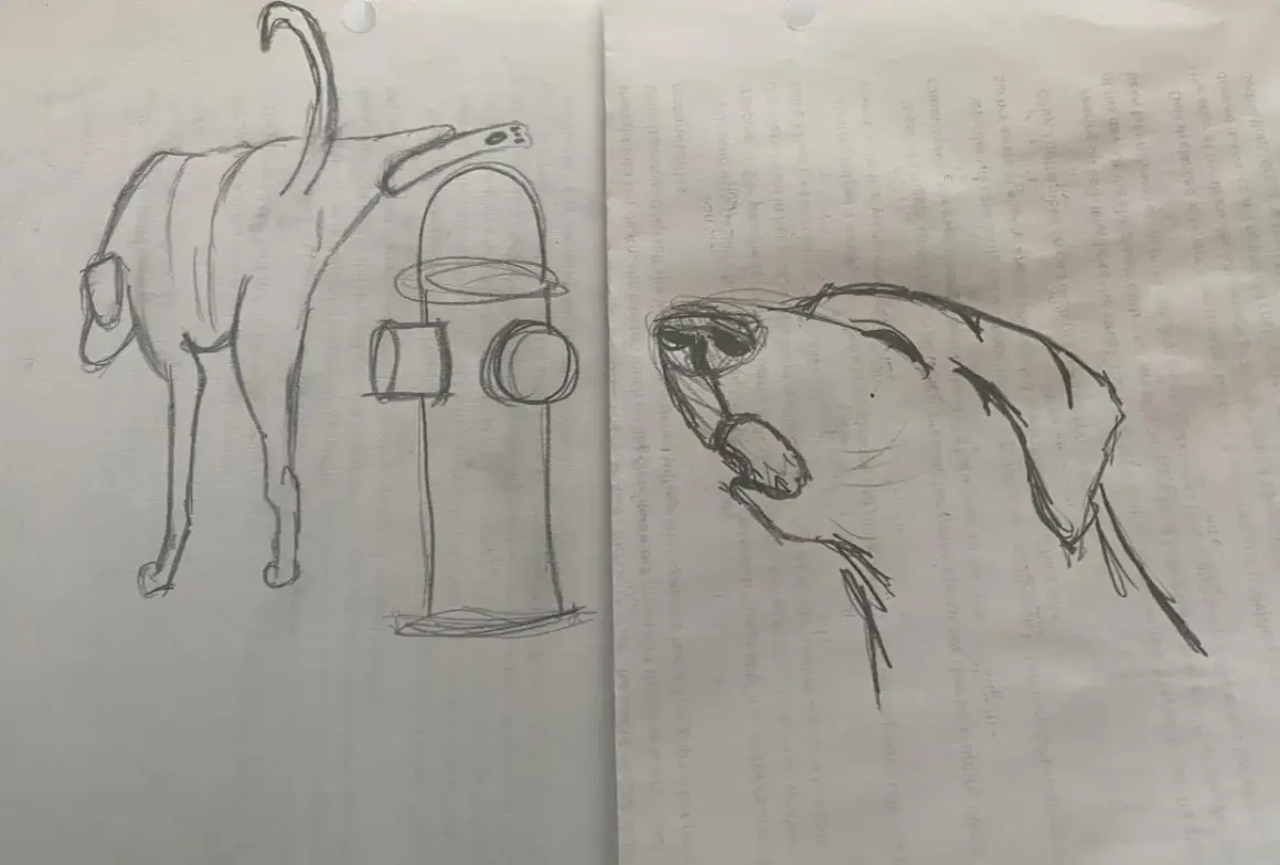 Bocetos de perros y un hidrante, perfectos como dibujos de animales para dibujar.