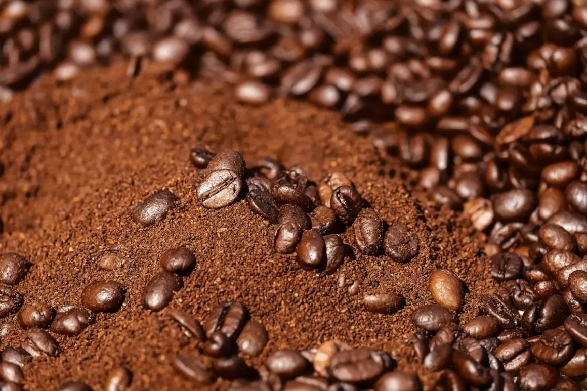 Montón de café molido con granos enteros esparcidos. Parece que el café se pone malo, perdiendo su frescura.