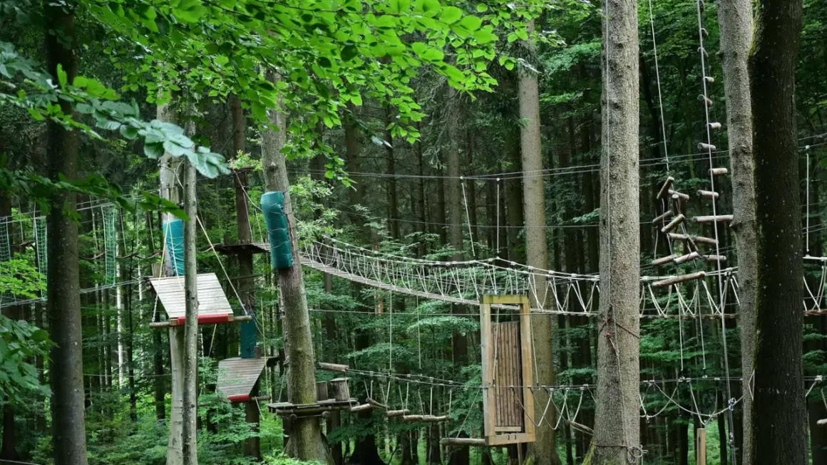 Park linowy w lesie z mostkami, drabinkami i platformami między drzewami.