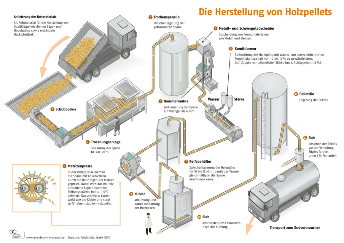 So werden Pellets hergestellt: Rohmaterial wird getrocknet, zerkleinert, konditioniert und dann in der Matrizenpresse zu Pellets geformt. Nach Kühlung und Siebung erfolgt die Lagerung im Pelletsilo.