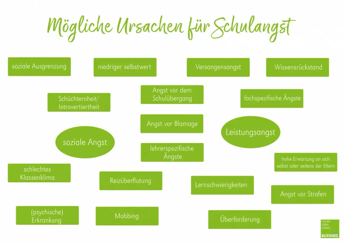 Ursachen für Schulangst: soziale Ausgrenzung, geringer Selbstwert, Versagensangst, Wissensrückstand, Angst vor dem Schulübergang, fachspezifische Ängste, Leistungsangst, schlechtes Klassenklima, Angst vor Blamage, lehrerspezifische Ängste, Reizüberflut...
