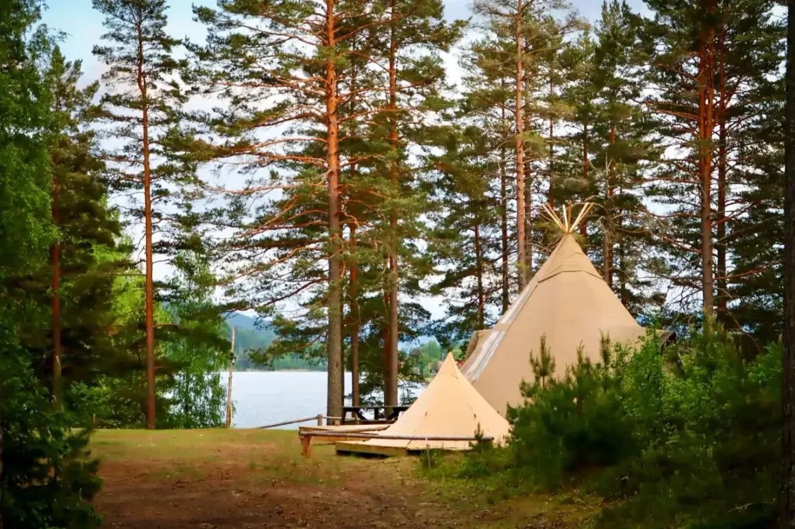 Två tält står uppställda vid en sjö, omgivna av höga tallar. En perfekt plats för naturcamping lagom.