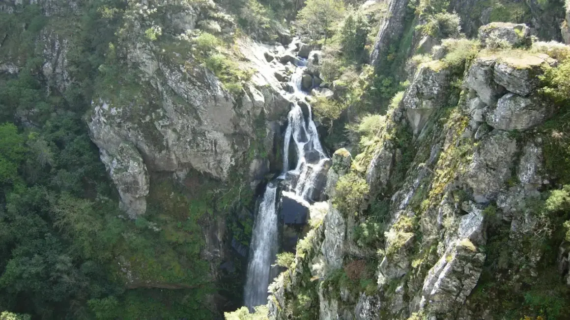La impresionante fervenza do Toxa cae en cascada por un barranco rocoso, rodeada de exuberante vegetación verde y rocas cubiertas de musgo.