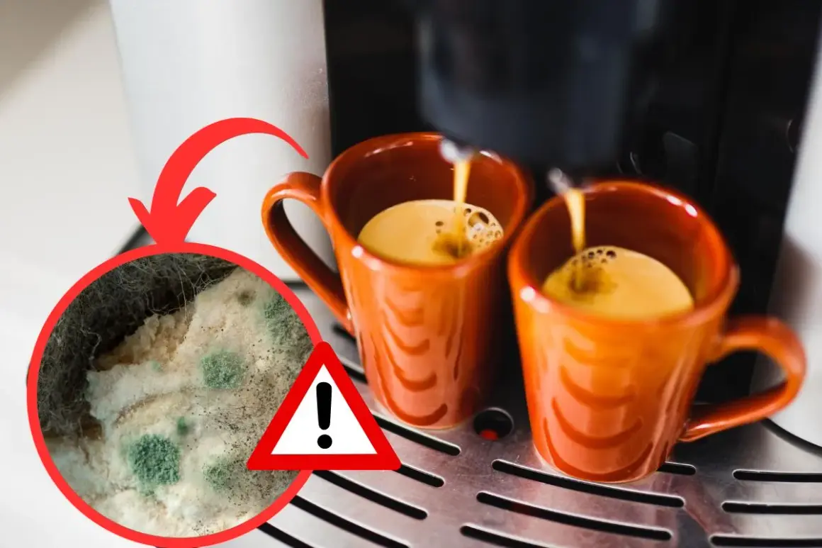 Attenzione alla muffa nella moka! Un'immagine mostra caffè che cola in tazze arancioni, con un ingrandimento di muffa verde e bianca.