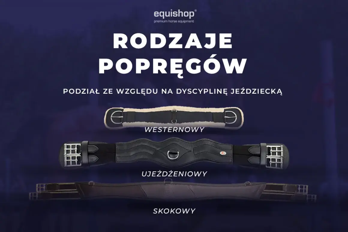 Trzy rodzaje popręgów dla konia: westernowy, ujeżdżeniowy i skokowy. Każdy popręg dopasowany do dyscypliny jeździeckiej.