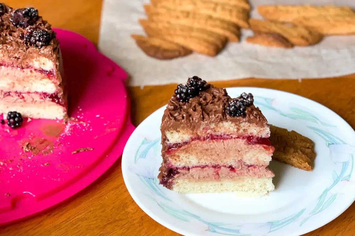 En bit av en läcker vegansk tårta med chokladfrosting och björnbär. Bredvid ligger en bit av en annan tårta och några kex.