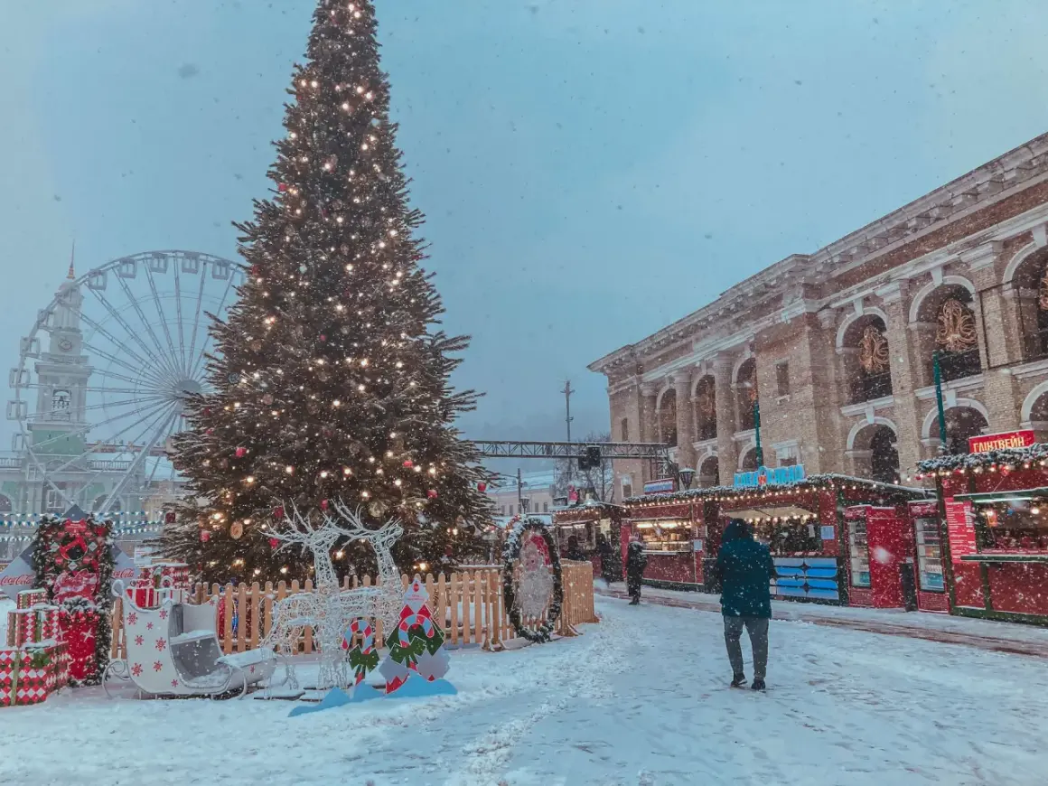 Weihnachtsmarkt mit beleuchtetem Baum, Rentier-Deko und Buden. Hier wird Weihnachten gefeiert, mit Schnee und Lichterglanz.