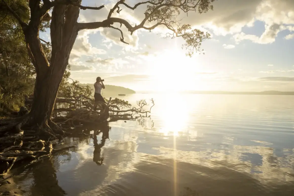 A photographer captures the serene beauty of golden hour by a tree with exposed roots, its branches reaching towards the sunlit water.