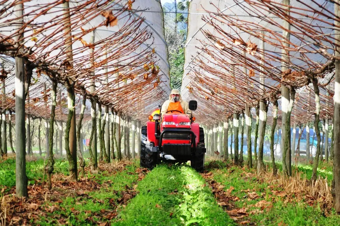 Traktorzysta w kombinezonie ochronnym pracuje w tunelu foliowym, dbając o rośliny. To przykład zrównoważonej permakultury w ogrodzie, gdzie technologia wspiera naturę.
