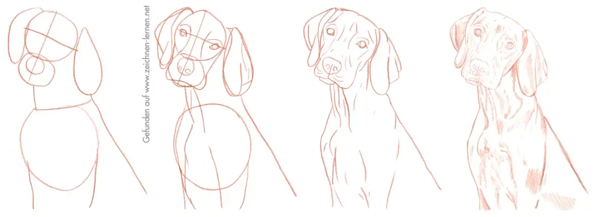 Hund malen einfach: Schritt-für-Schritt-Anleitung für Anfänger