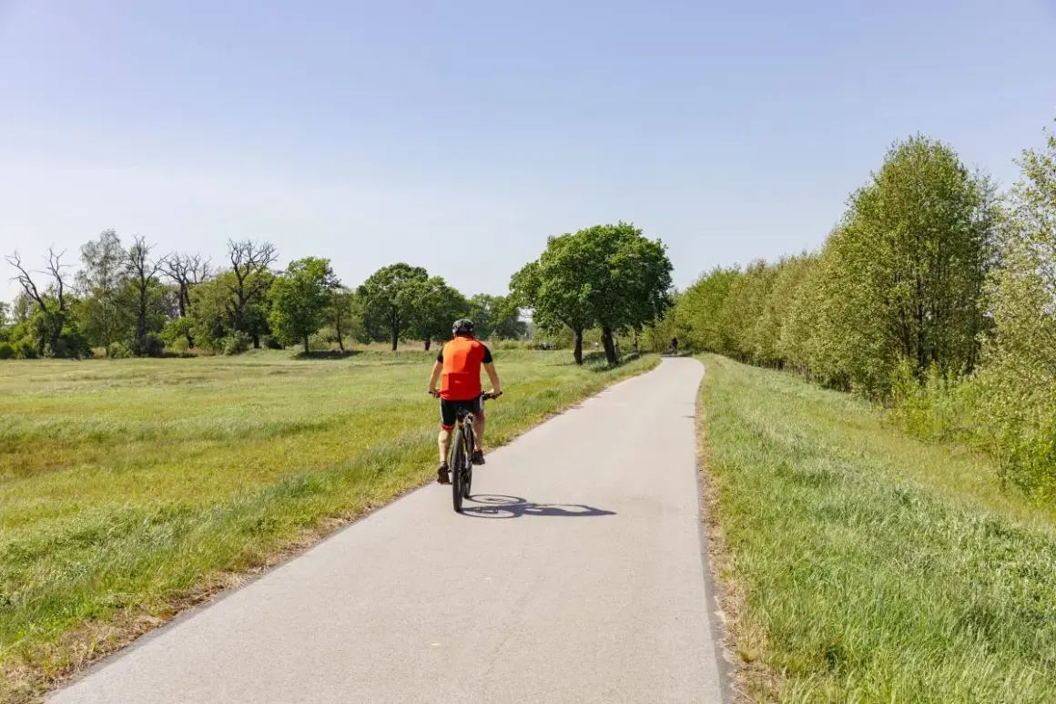 Rowerzysta na ścieżce wzdłuż zielonych łąk i drzew. Idealne miejsce na odkrywanie dolnośląskiej krainy rowerowej.