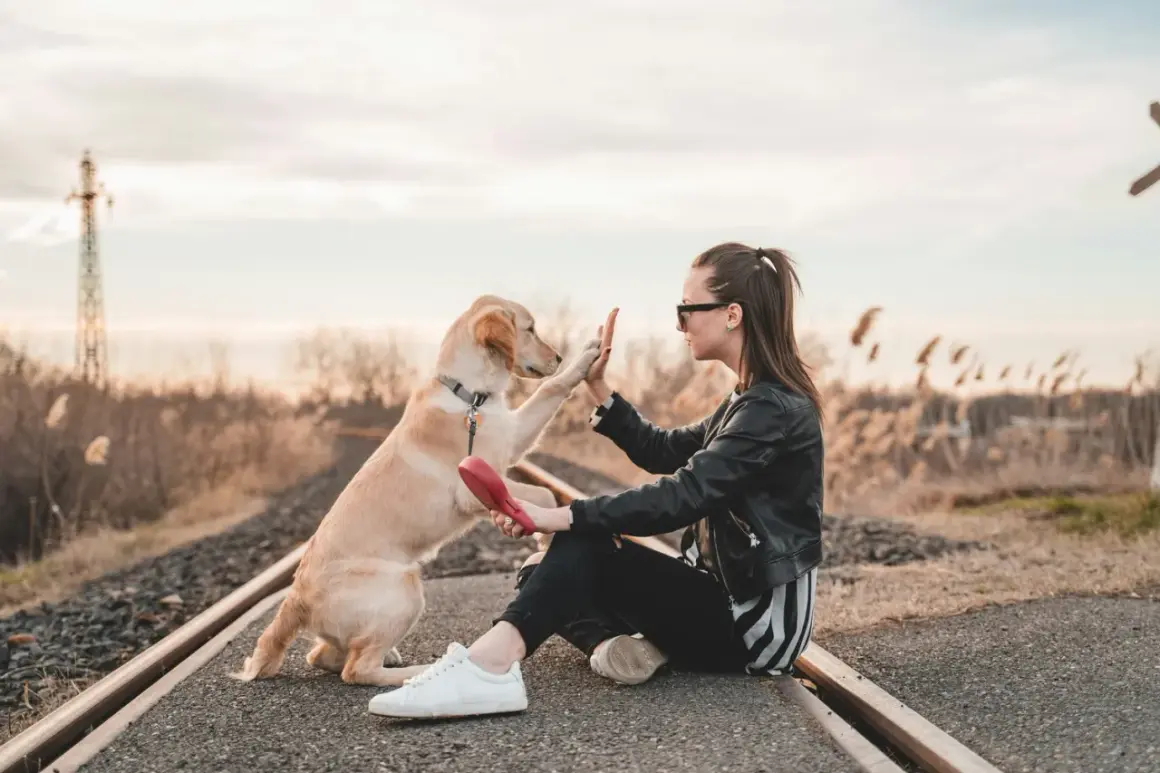 Joven da la mano a su perro en las vías del tren. Una escena que evoca la idea de cuidar mascotas a cambio de alojamiento, un viaje inesperado.